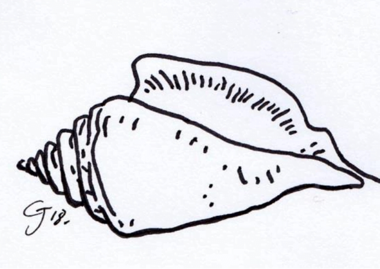 Un jour, mon père m’a donné un coquillage…