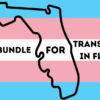 Opération caritative : TTRPGs for Trans Rights in Florida